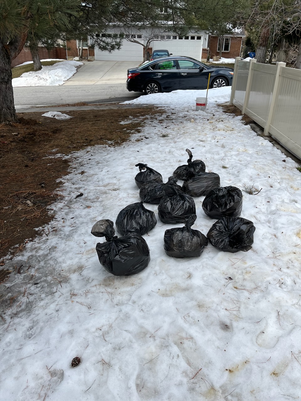 Mr Pooper Scooper - Photo 2