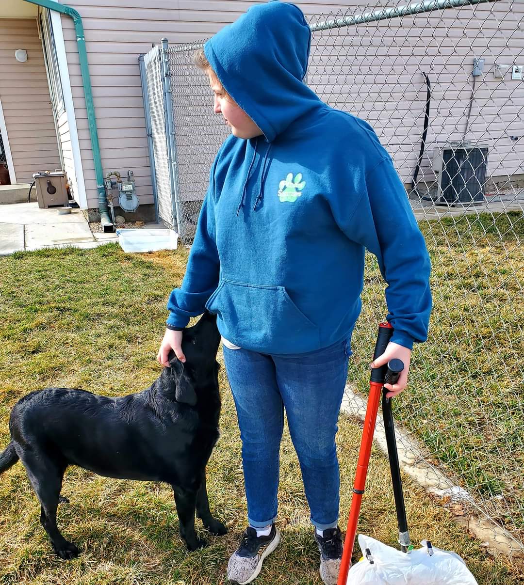 Mr Pooper Scooper - Photo 3