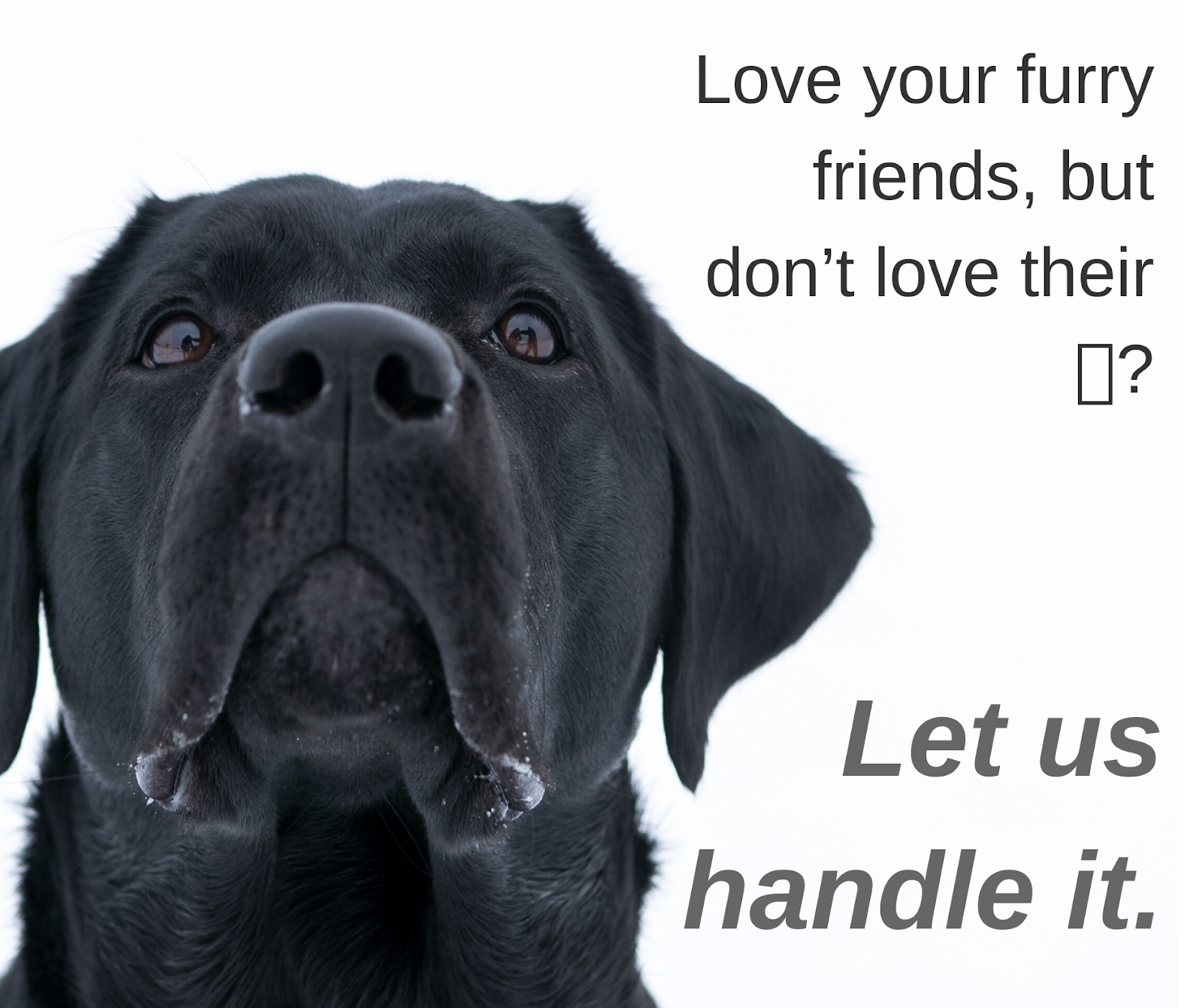 The Scoop Group - Photo 3