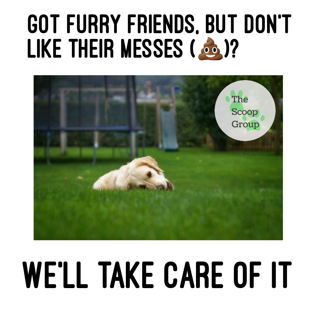 The Scoop Group - Photo 4