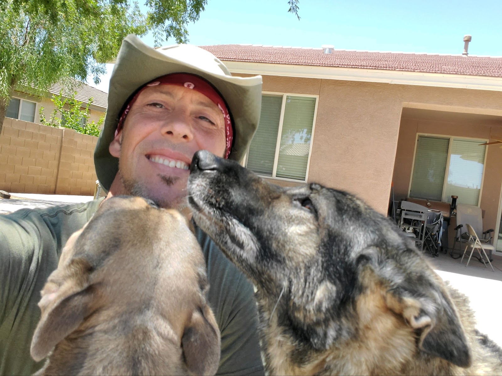 Scoopy Doo Maricopa - Pet Waste Management