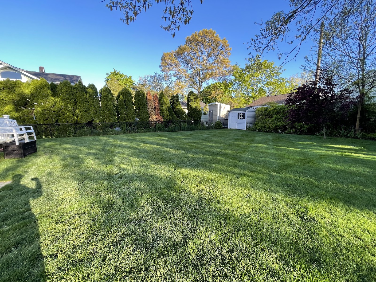 Doggie Dood - Photo 4