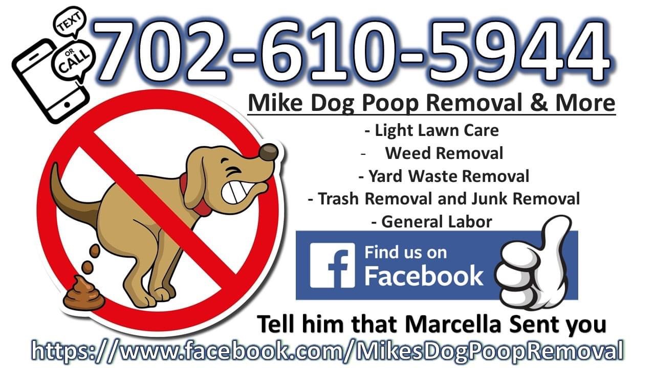 Mike's Dog Poop Removal & More - Photo 2