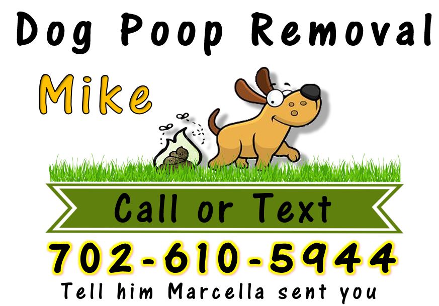 Mike's Dog Poop Removal & More - Photo 4