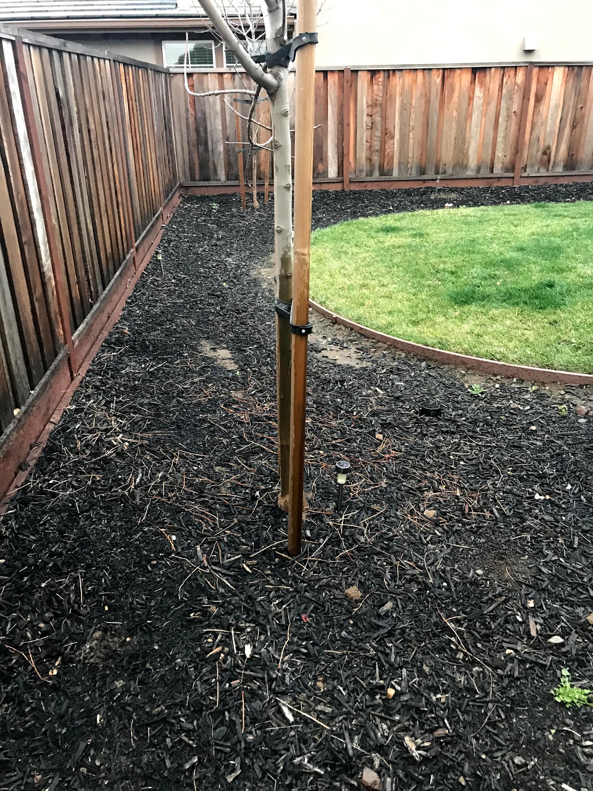 Bombs Away! - San Jose