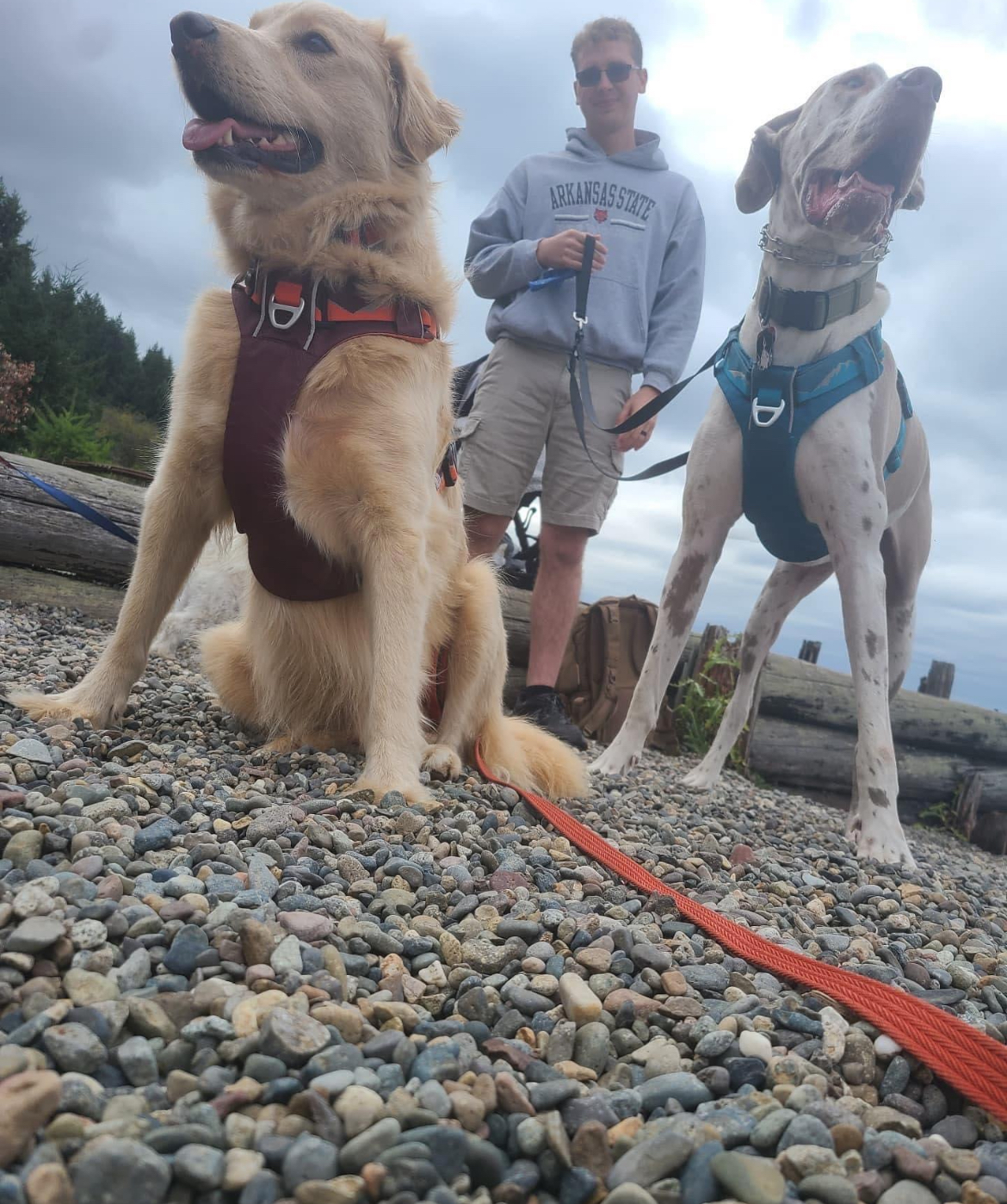 OhDoody Dog Waste Removal - Photo 4