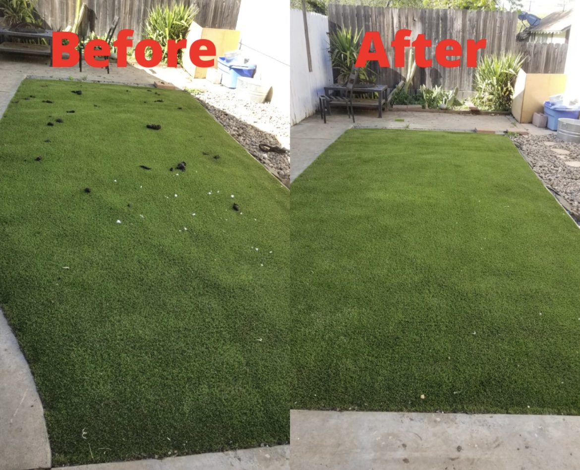 South Shore Dog Waste Removal