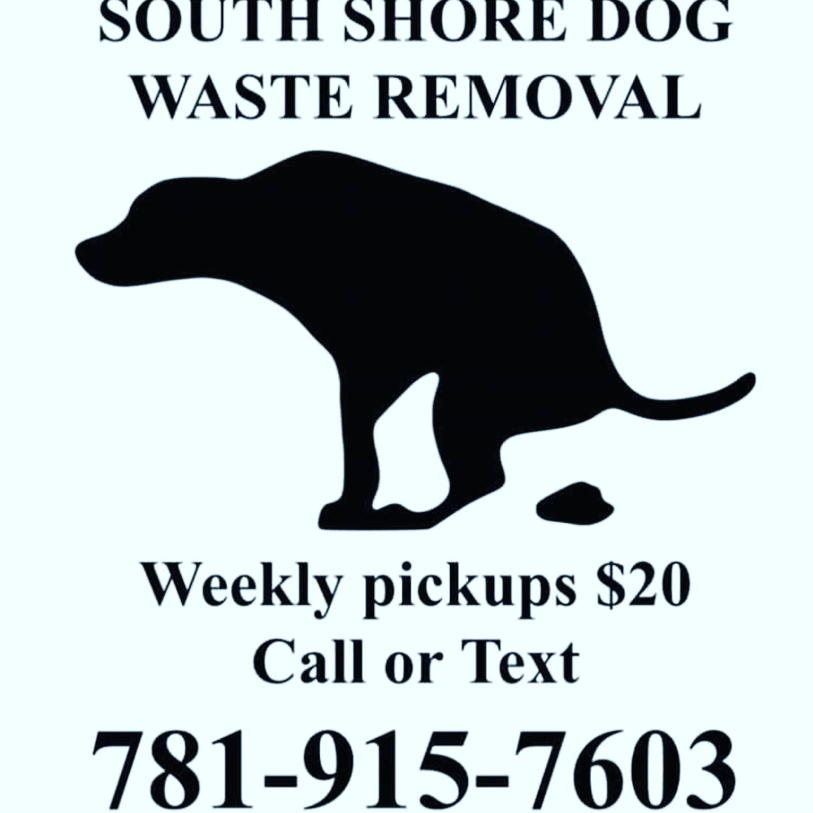 South Shore Dog Waste Removal - Photo 4