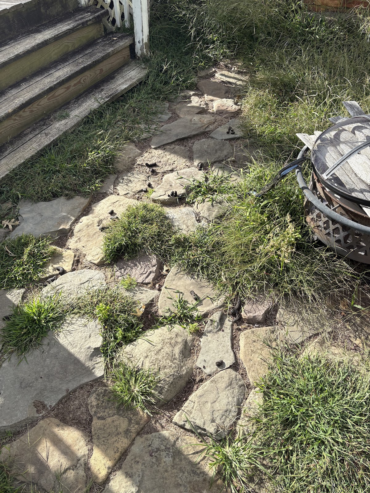 Spotless Scoop - Photo 3