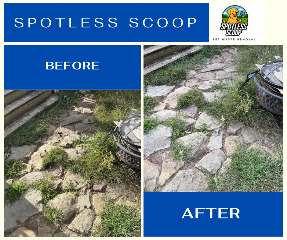 Spotless Scoop - Photo 4