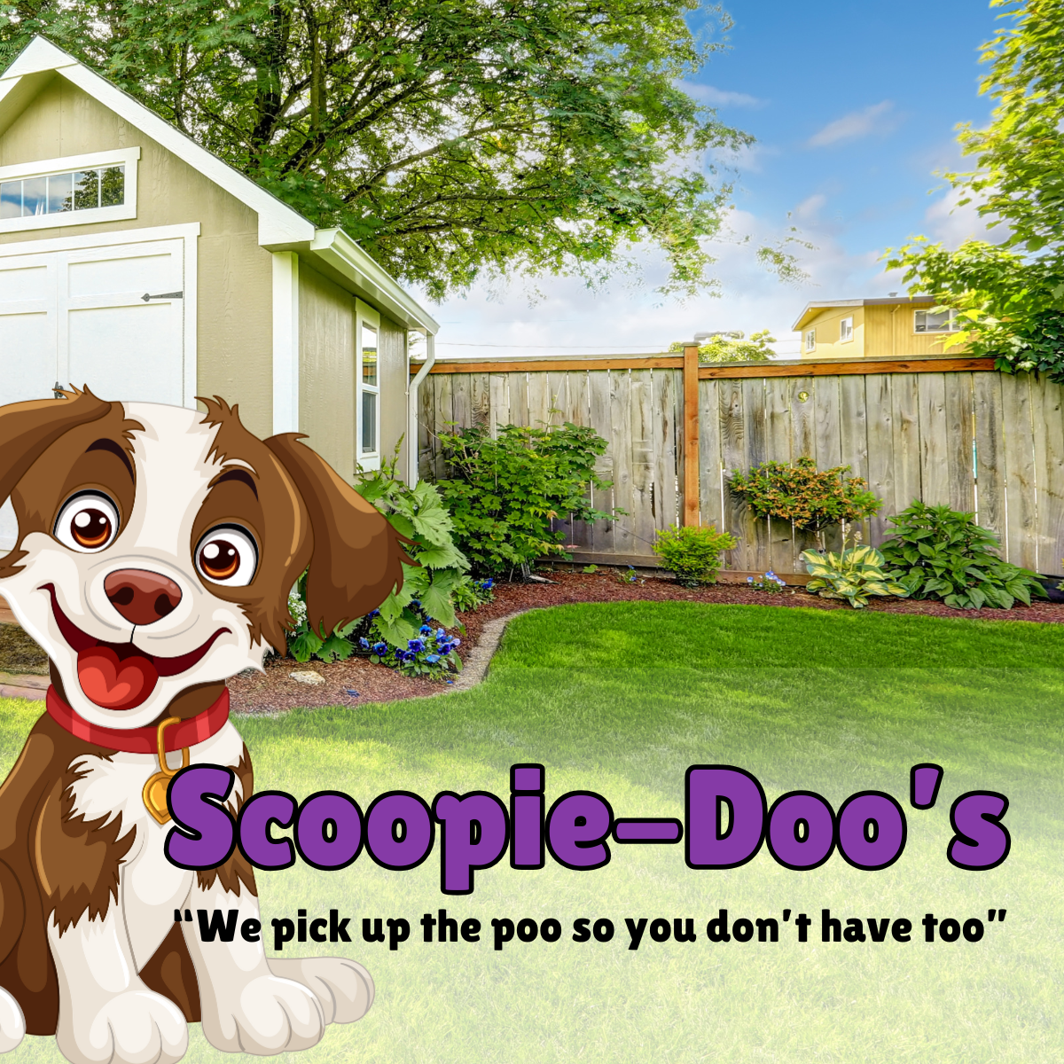 Scoopie Doo's-Pet Waste Removal - Photo 3