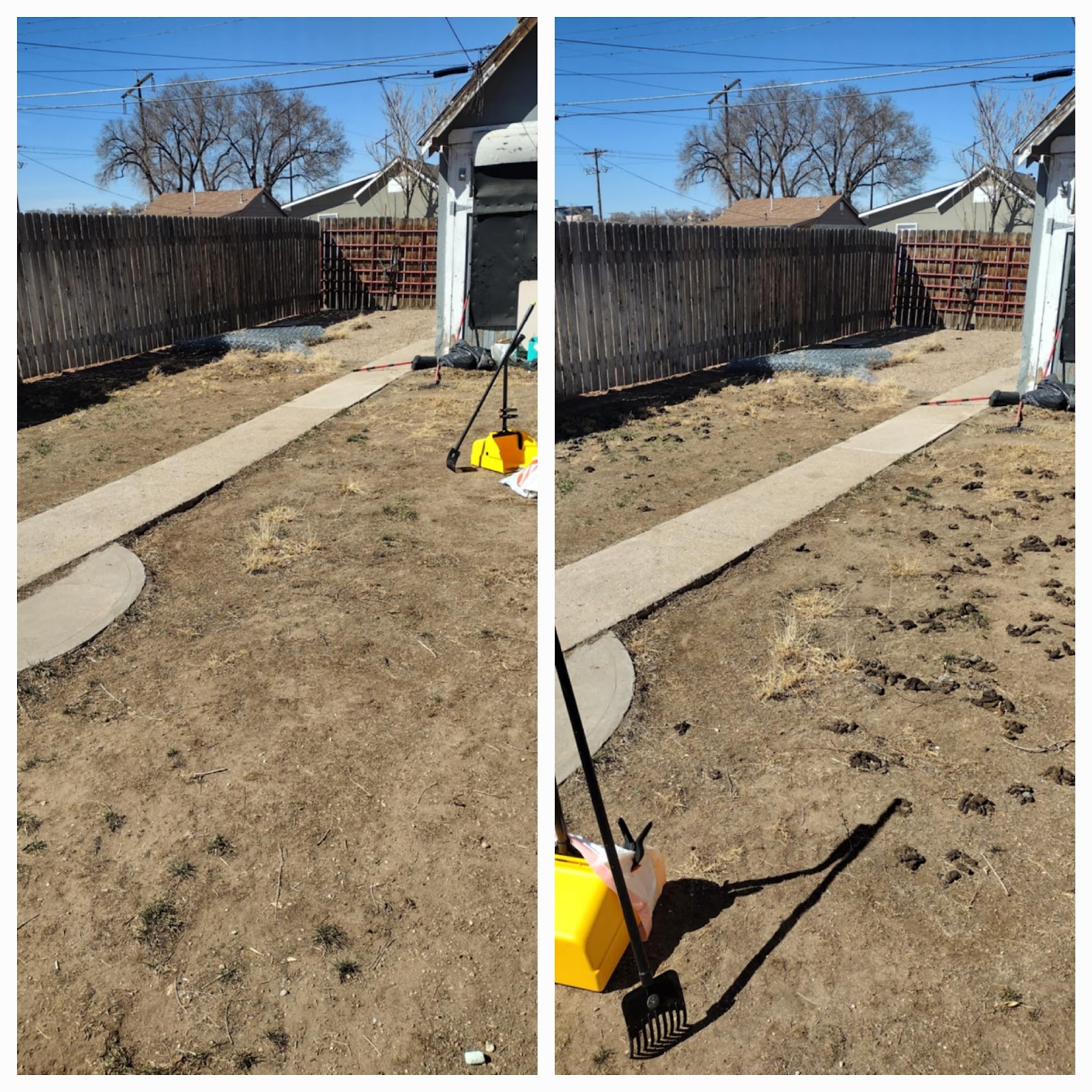 Scoopie Doo's-Pet Waste Removal - Photo 4