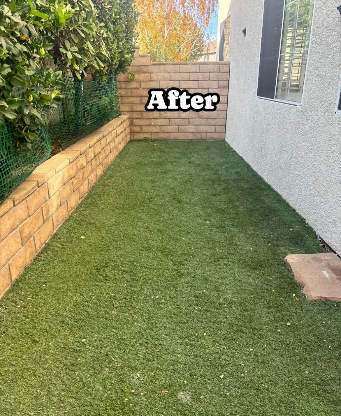 Scoop Royalty - Photo 2