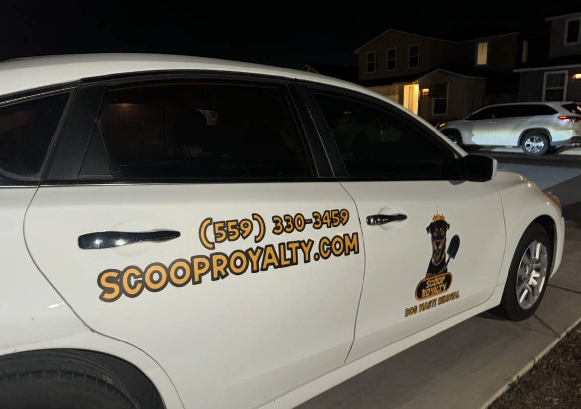Scoop Royalty - Photo 4