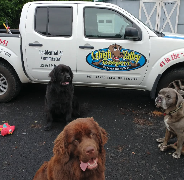 Lehigh Valley Scoopers - Photo 3