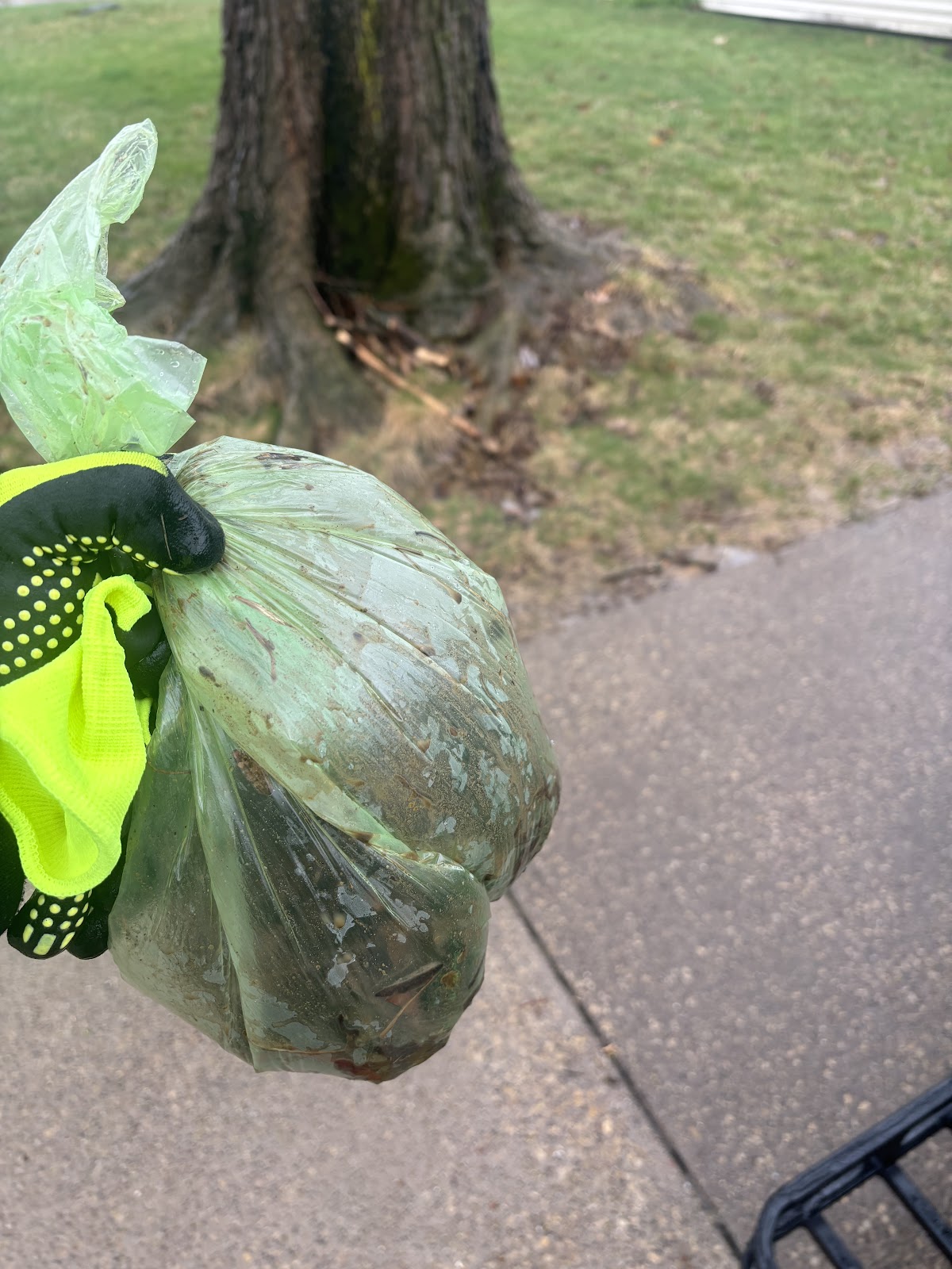 Deuces Dog Waste Removal