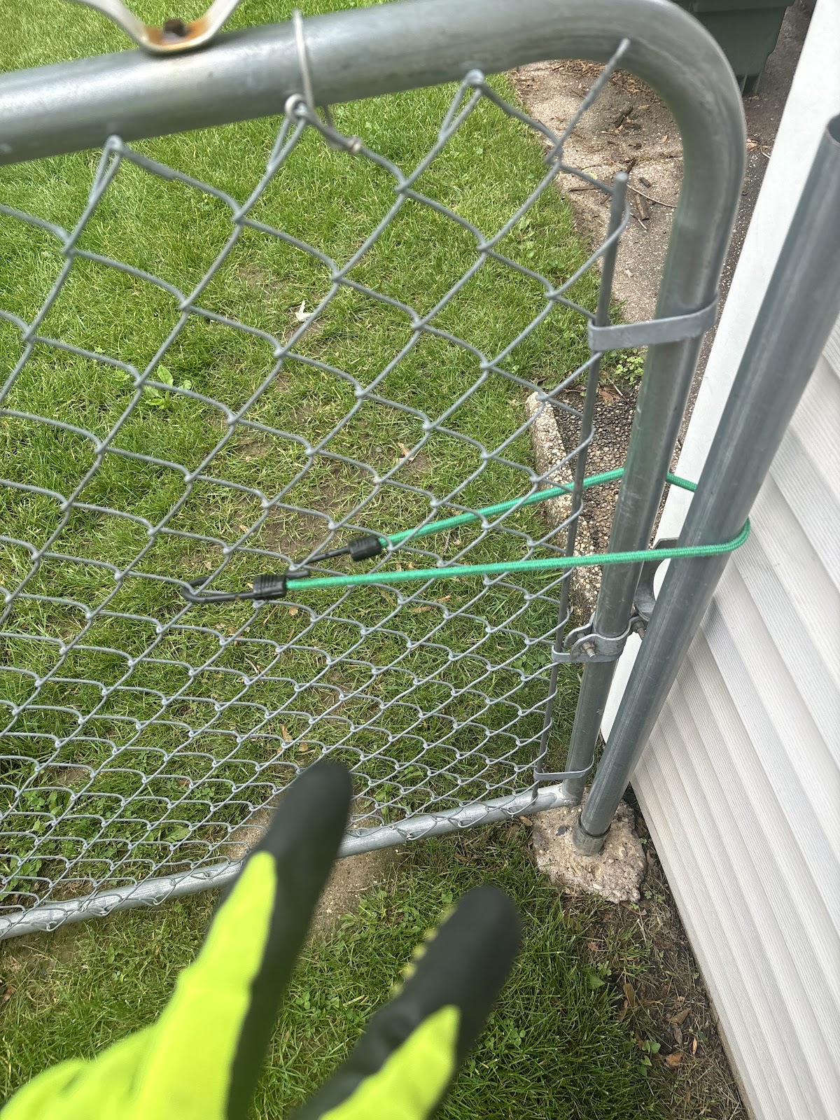 Deuces Dog Waste Removal - Photo 2