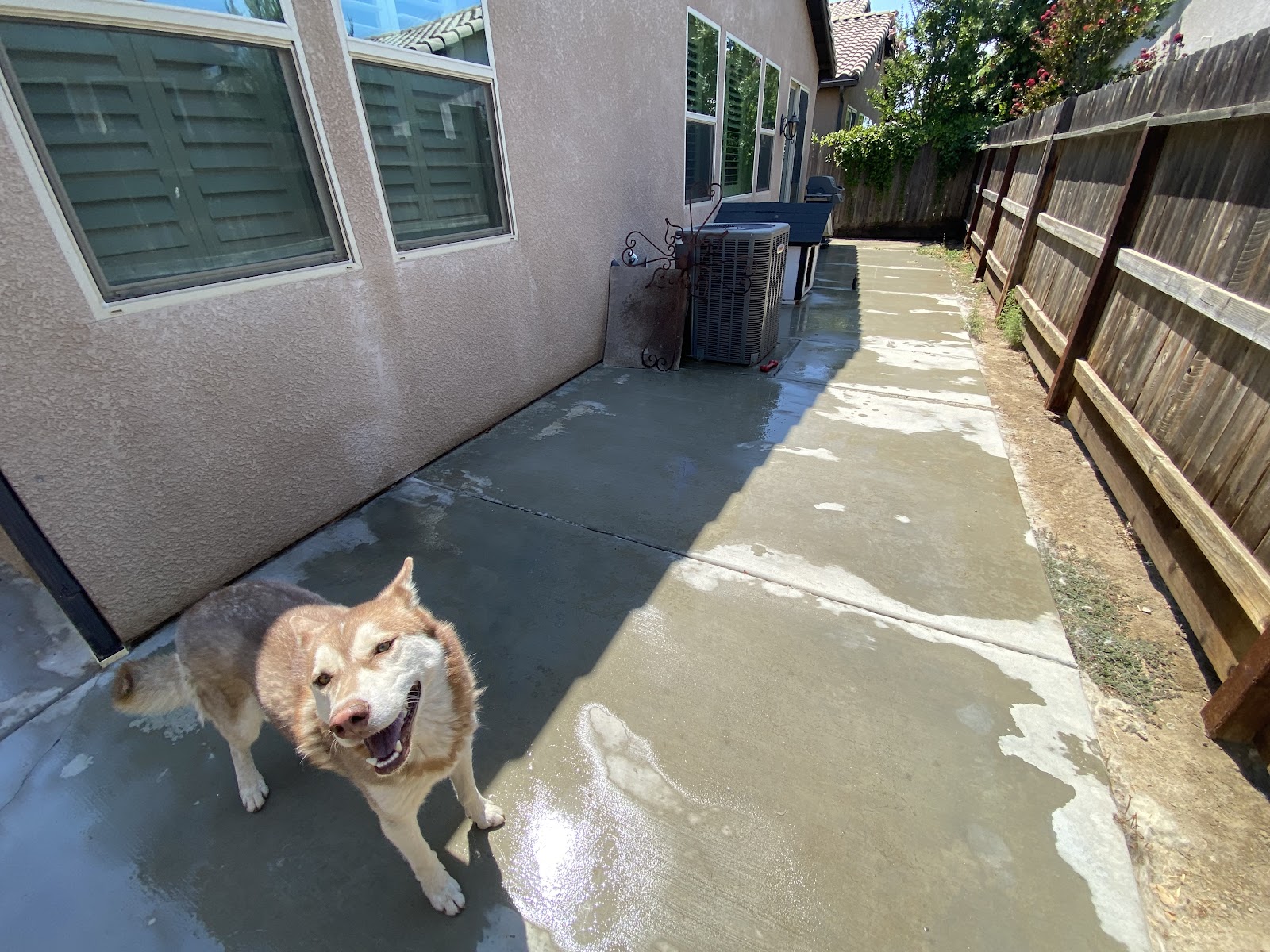 The Poop Fairies - Photo 2