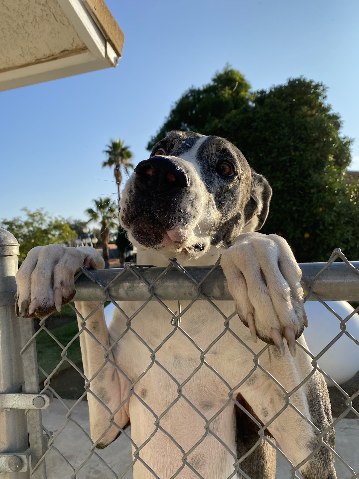 The Poop Fairies - Photo 3