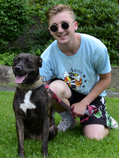 Above & Beyond Pet Services