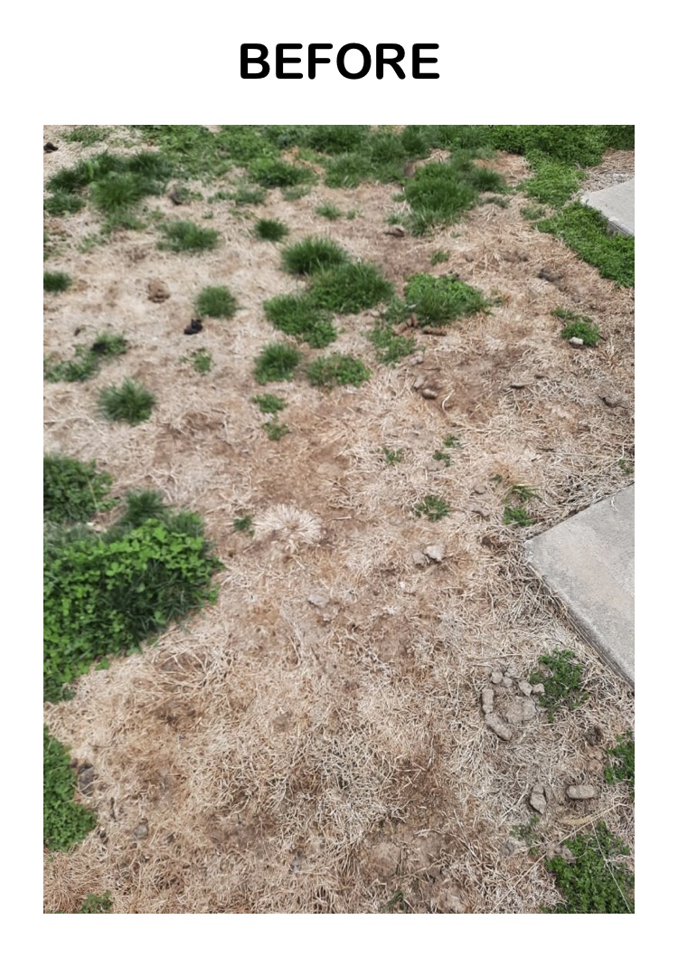 Dog Waste Professionals LLC - Photo 3