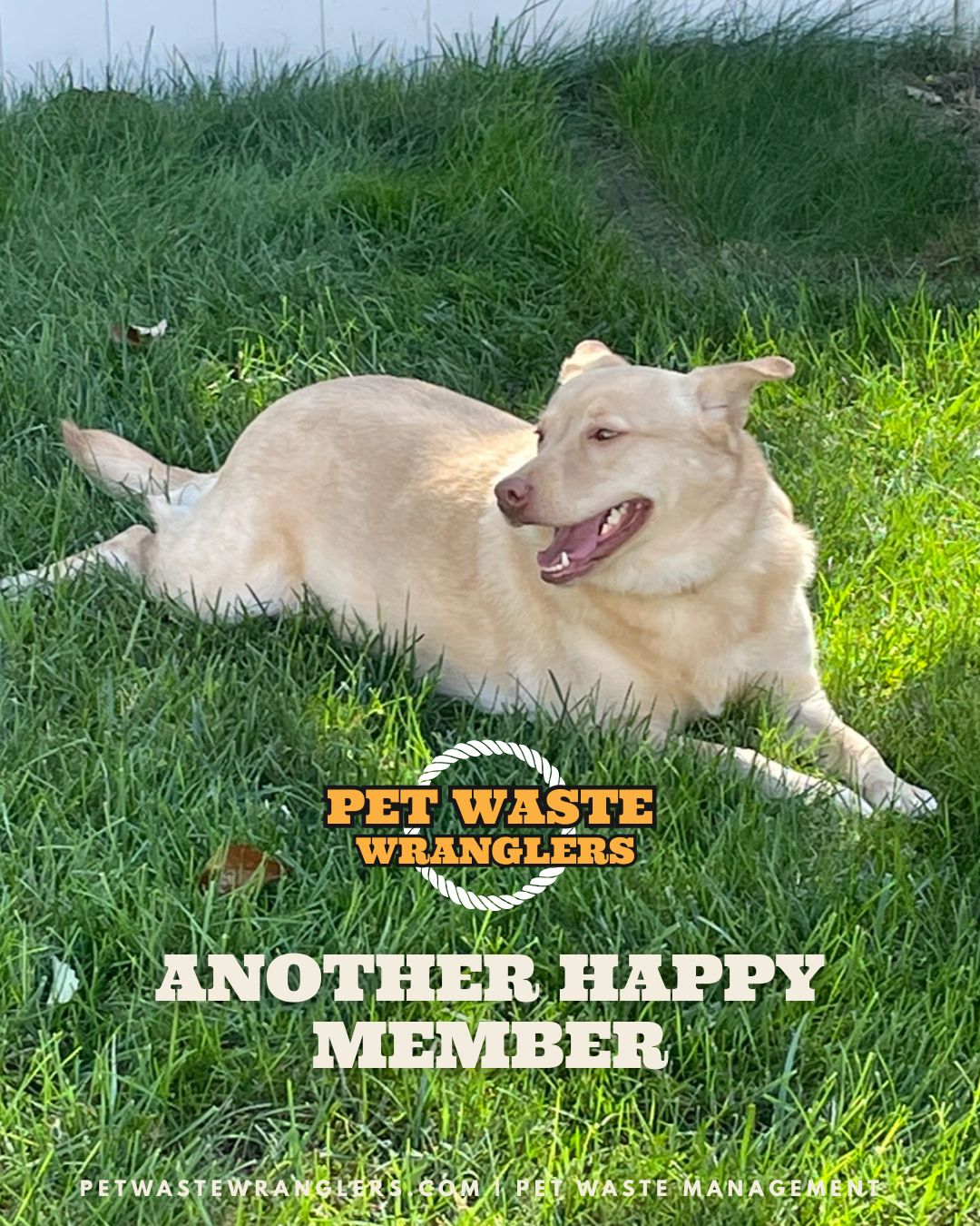 Pet Waste Wranglers - Photo 3