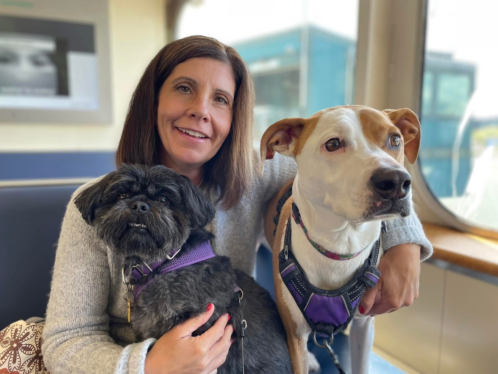 Scoop the Poop - Photo 2