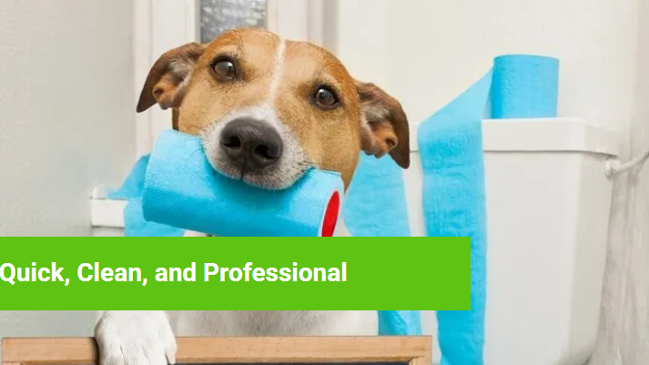 Top Dog Pet Waste Removal Service
