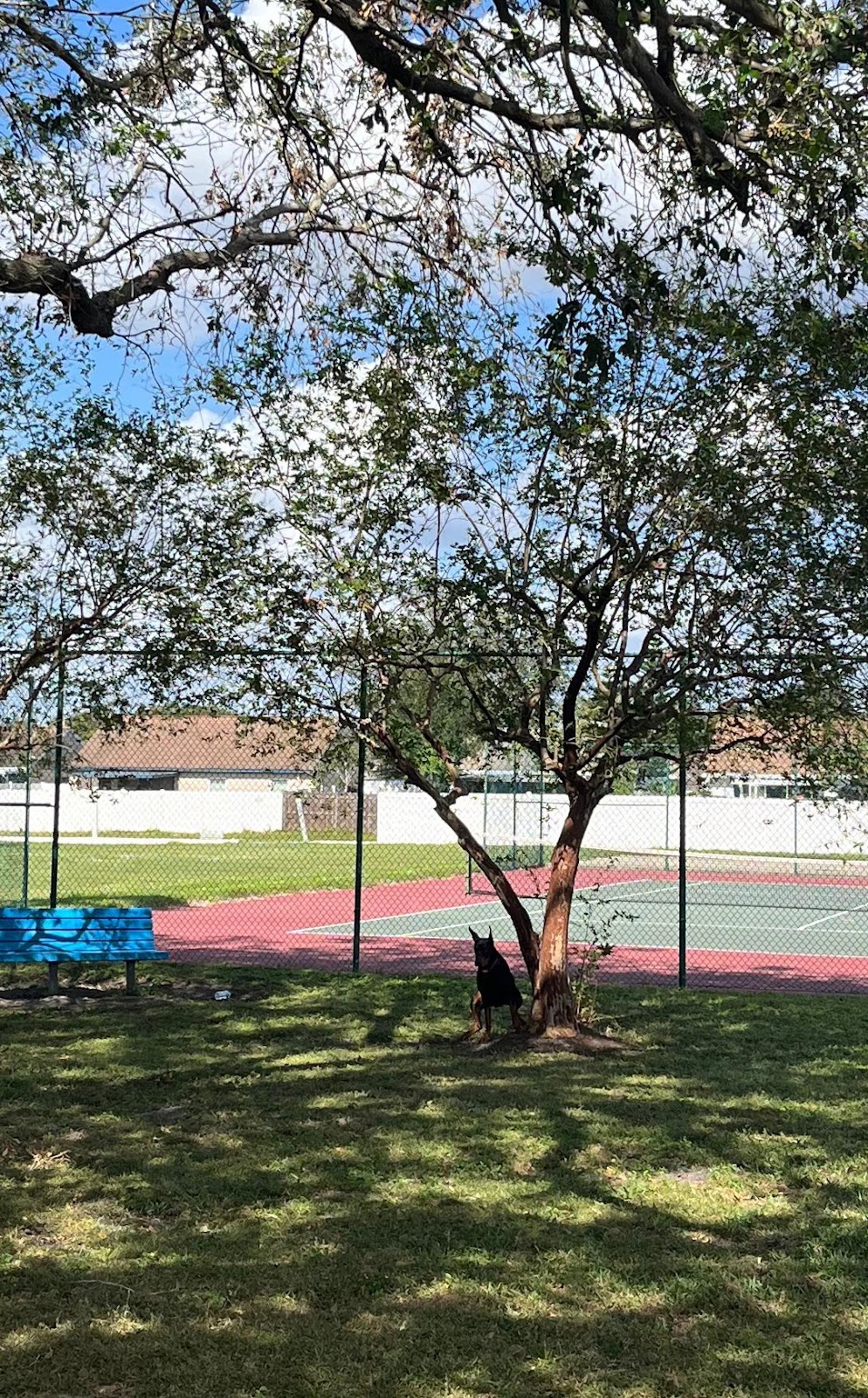 FURRY POOPER SCOOPER - Photo 2