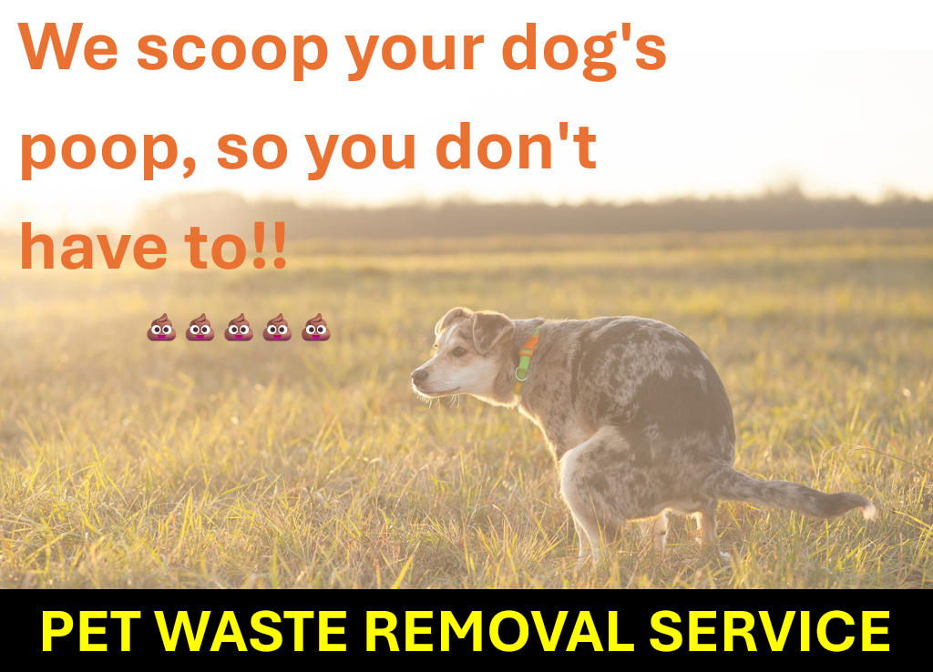 FURRY POOPER SCOOPER - Photo 3