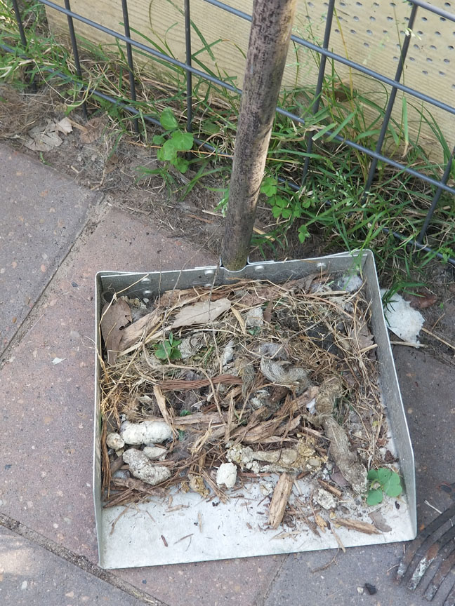 Texas Pet Waste Solutions | Pet Waste Removal