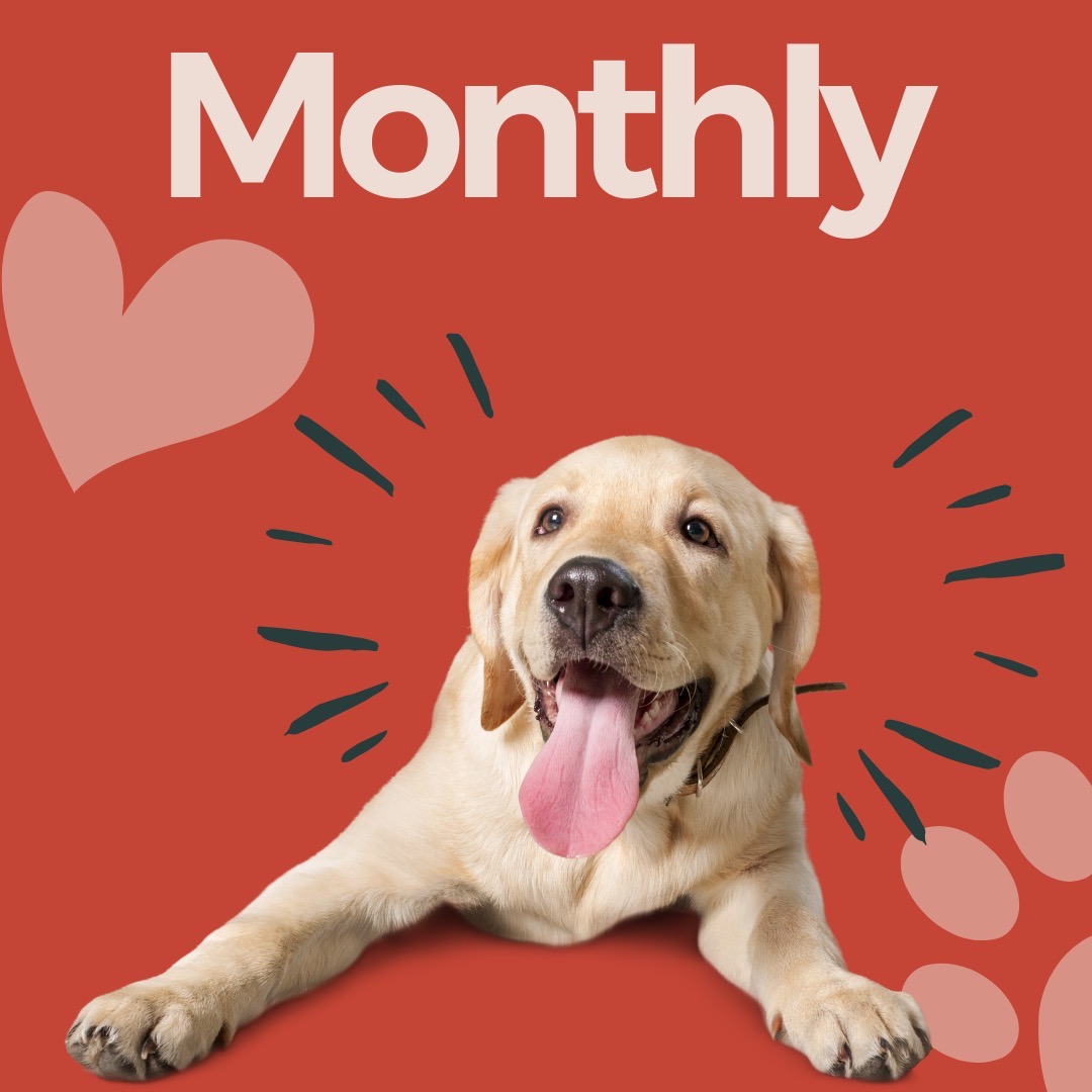 Enchanted Paws Pet Waste Removal - Photo 3