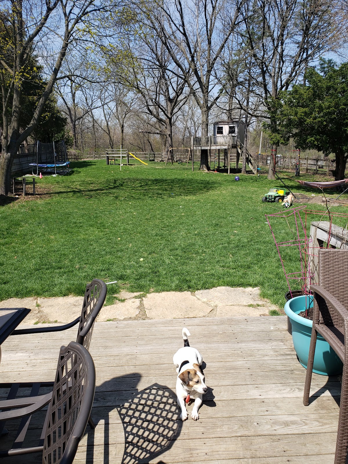 DoodyCalls of Madison