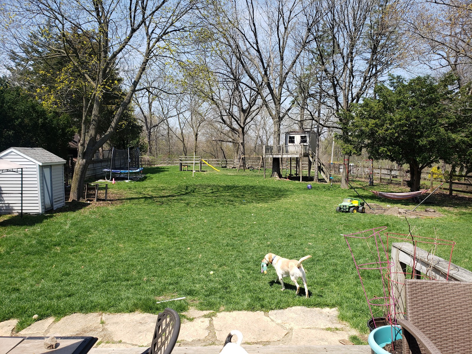 DoodyCalls of Madison - Photo 2