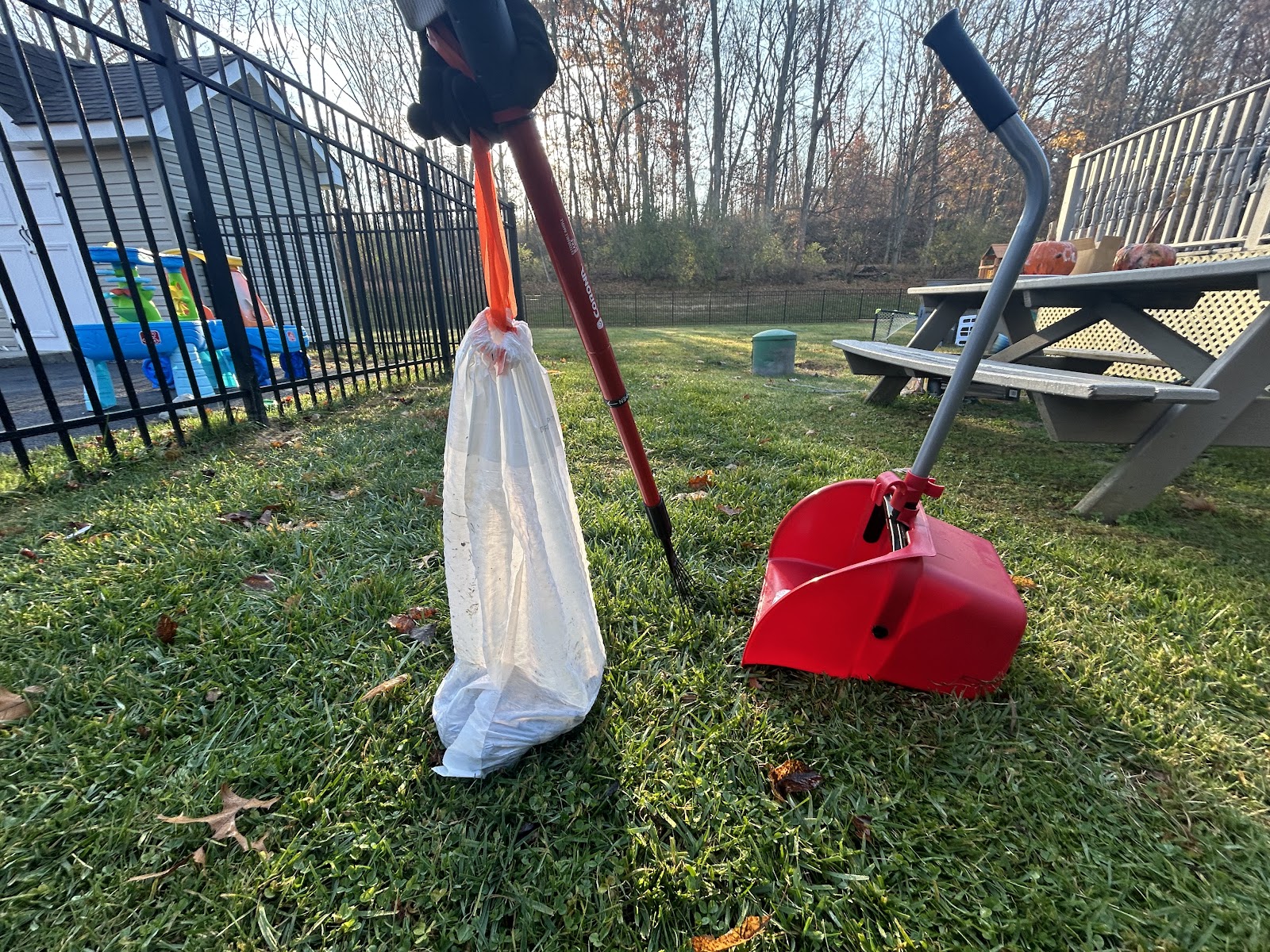 DOGGY DOODOO REMOVAL - Photo 2