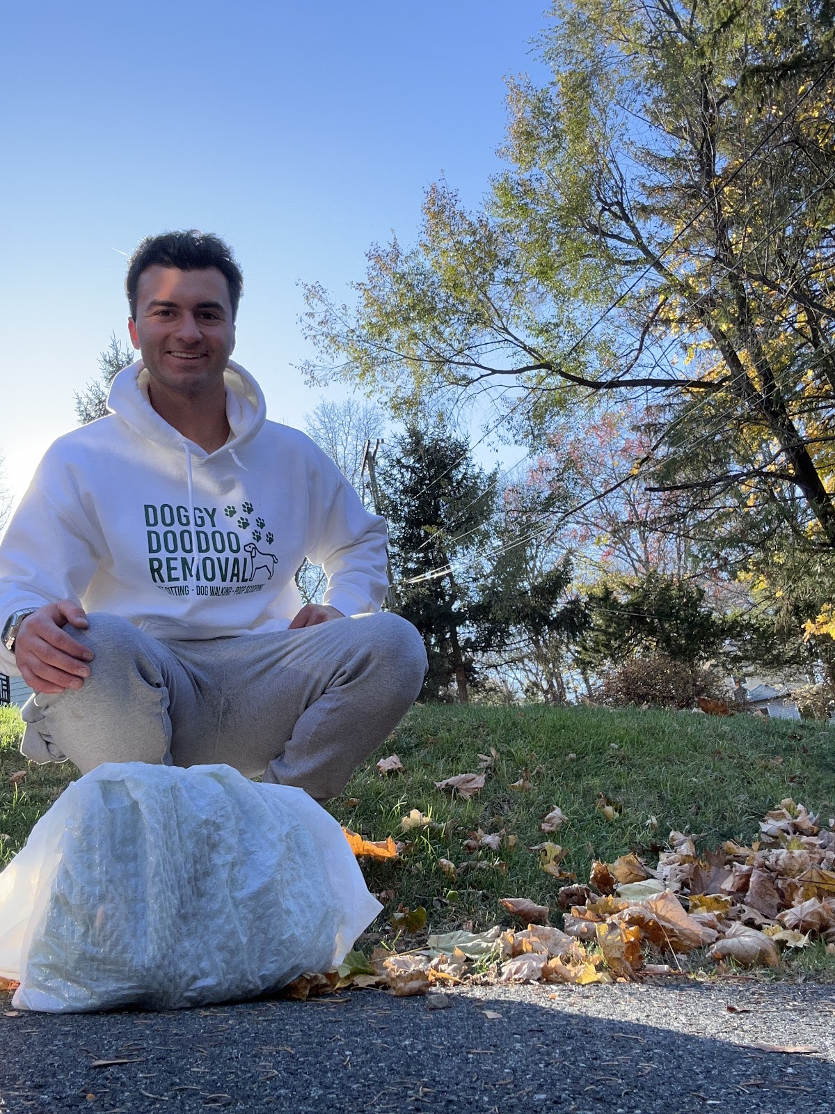 DOGGY DOODOO REMOVAL - Photo 4