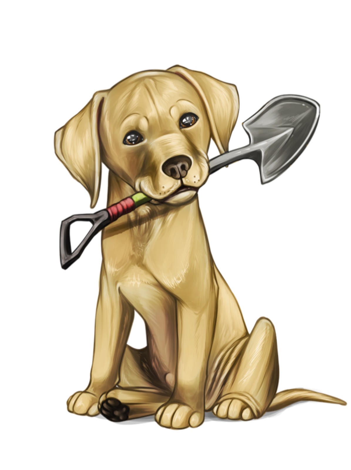 Blaze's Pet Waste Removal - Photo 3