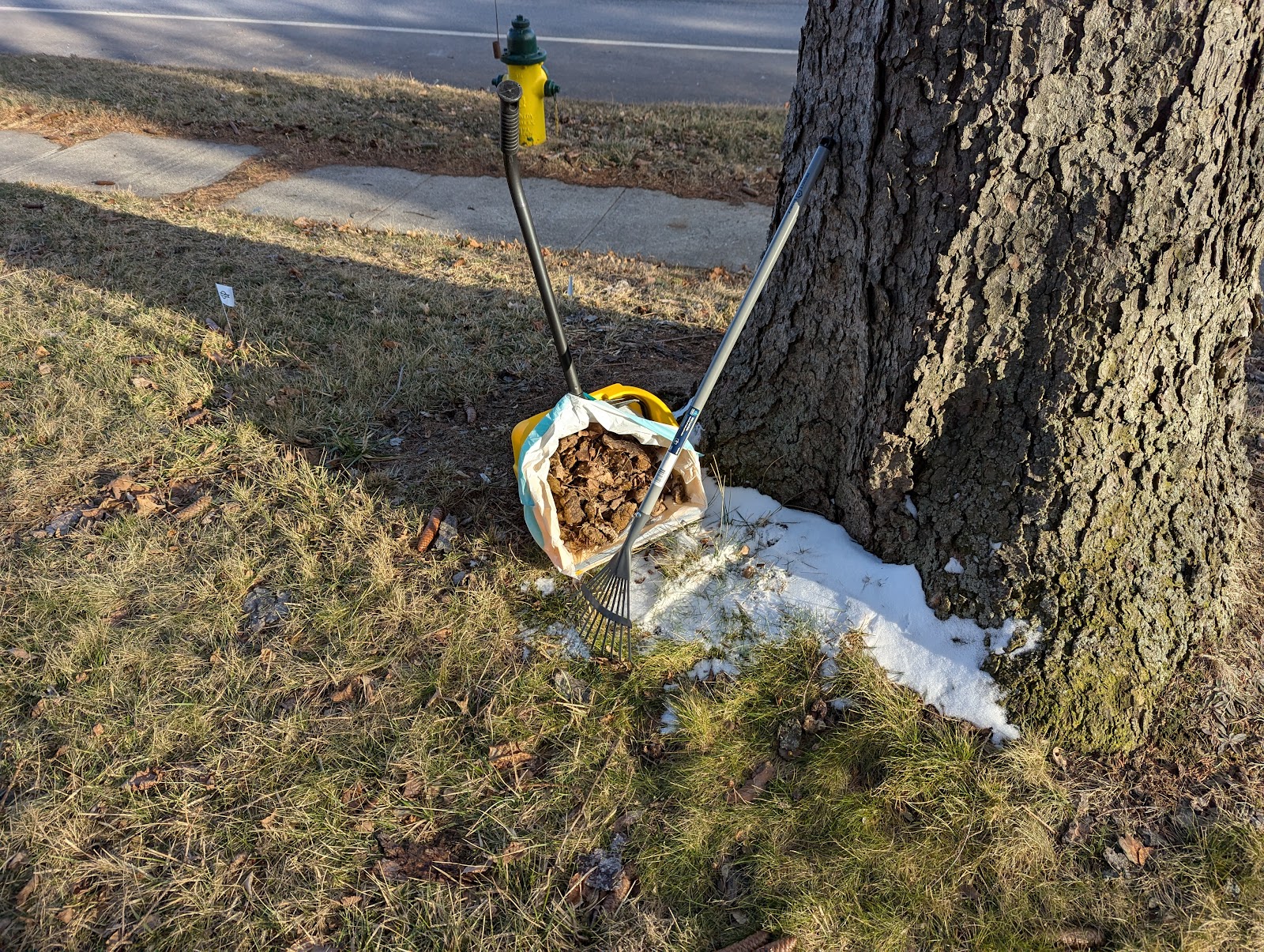 Lightning Scoopers LLC - Photo 2