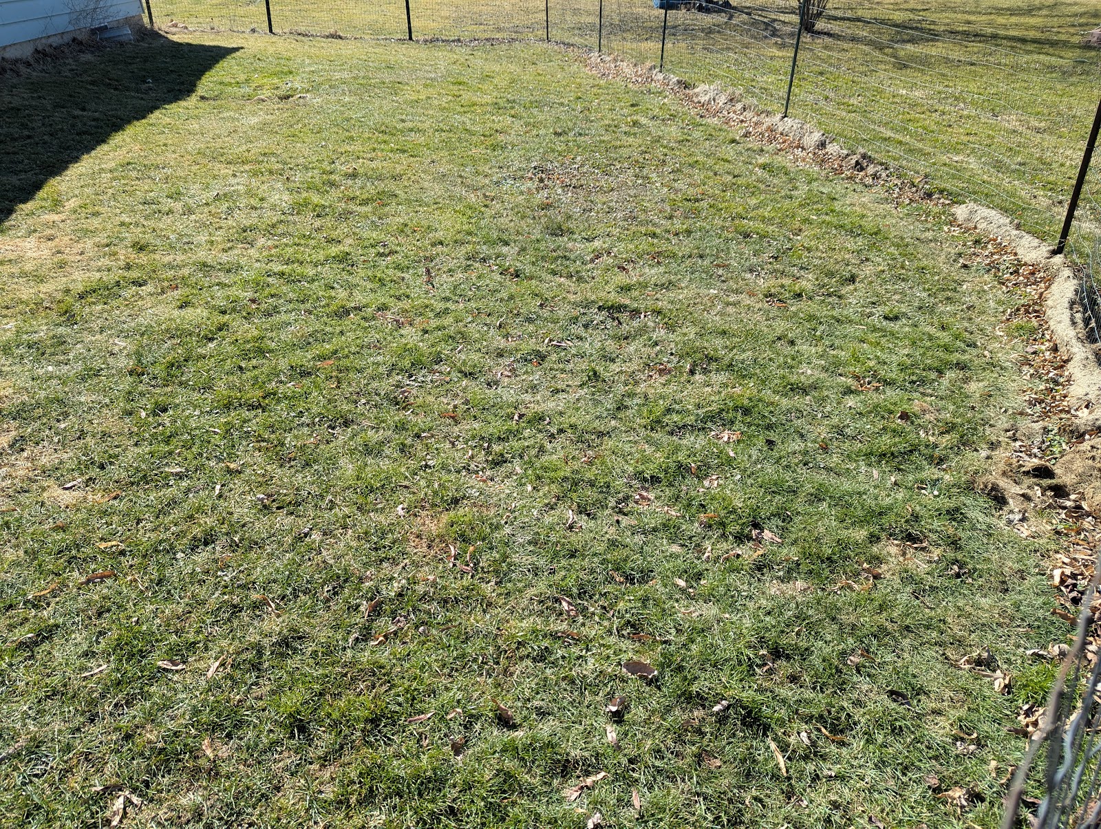 Lightning Scoopers LLC - Photo 4