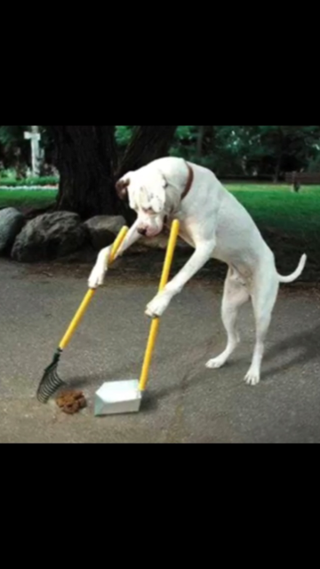 POOP 911 Greater Oklahoma City - Photo 4