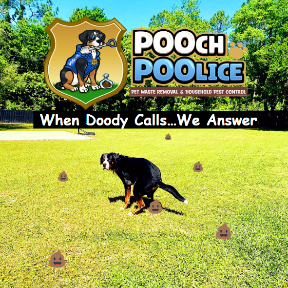 POOch POOlice - Photo 4