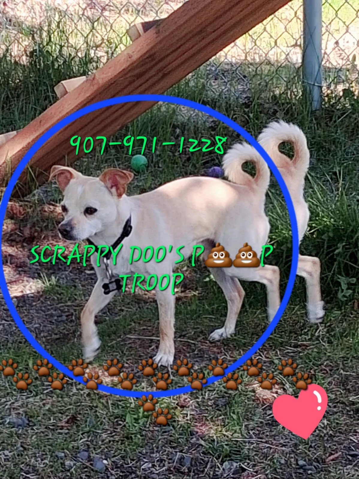 Scrappy Doo's Poop Troop