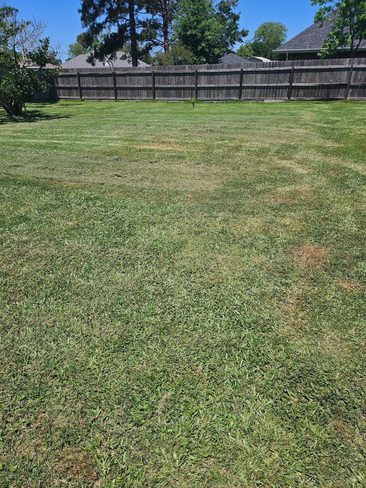 Scoopee Doos Waste Removal - Photo 2