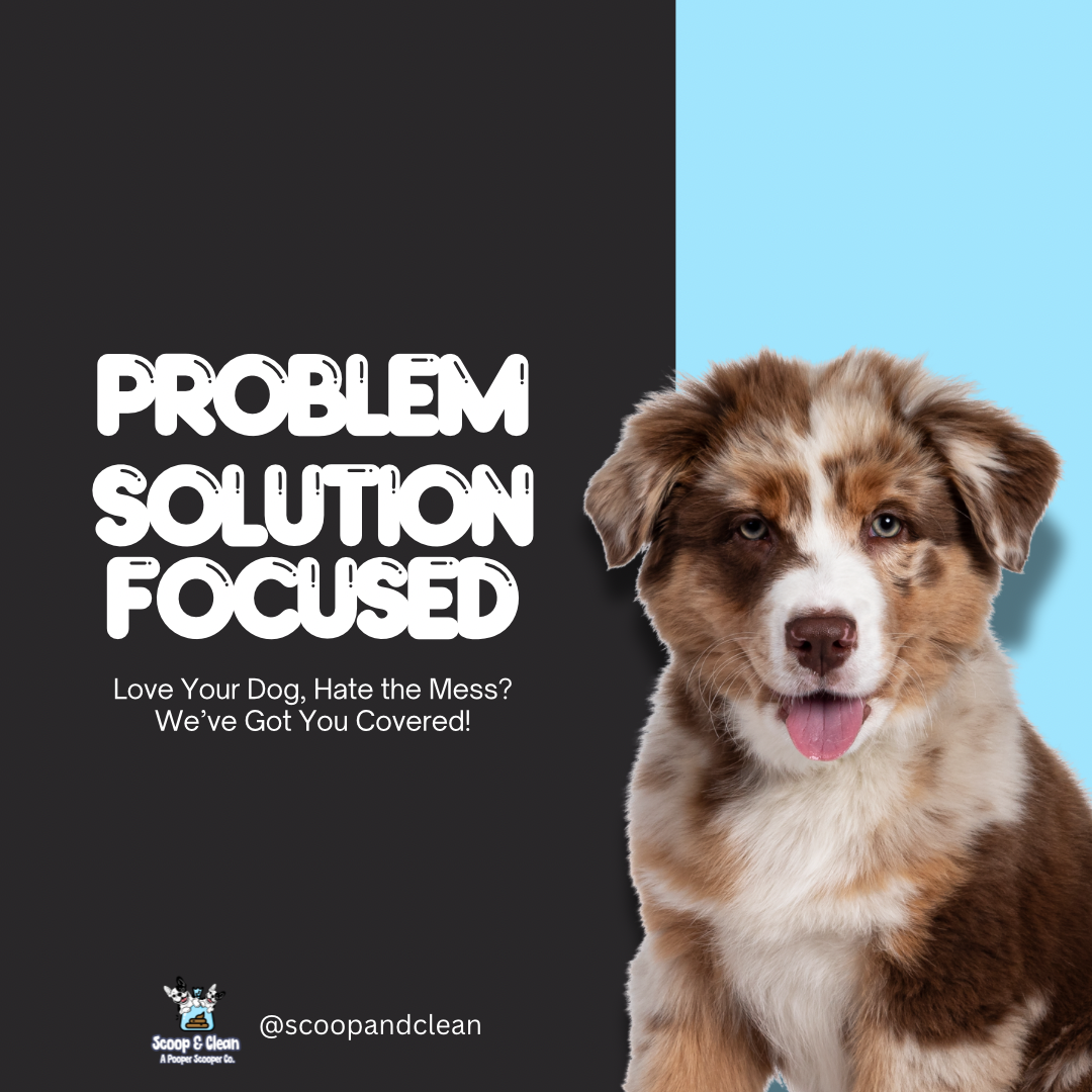 Scoop and Clean - Photo 4