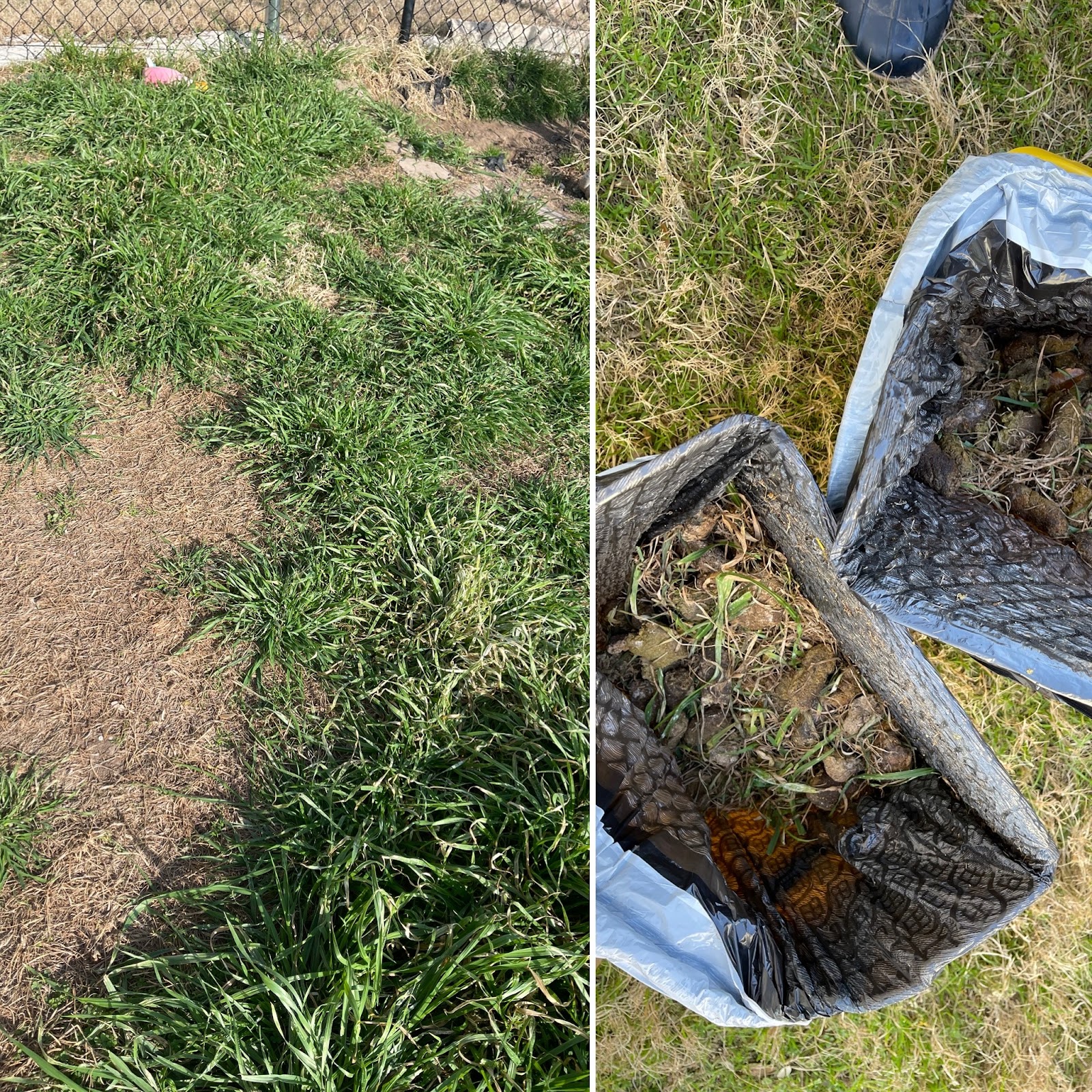 Doody Division - Photo 2