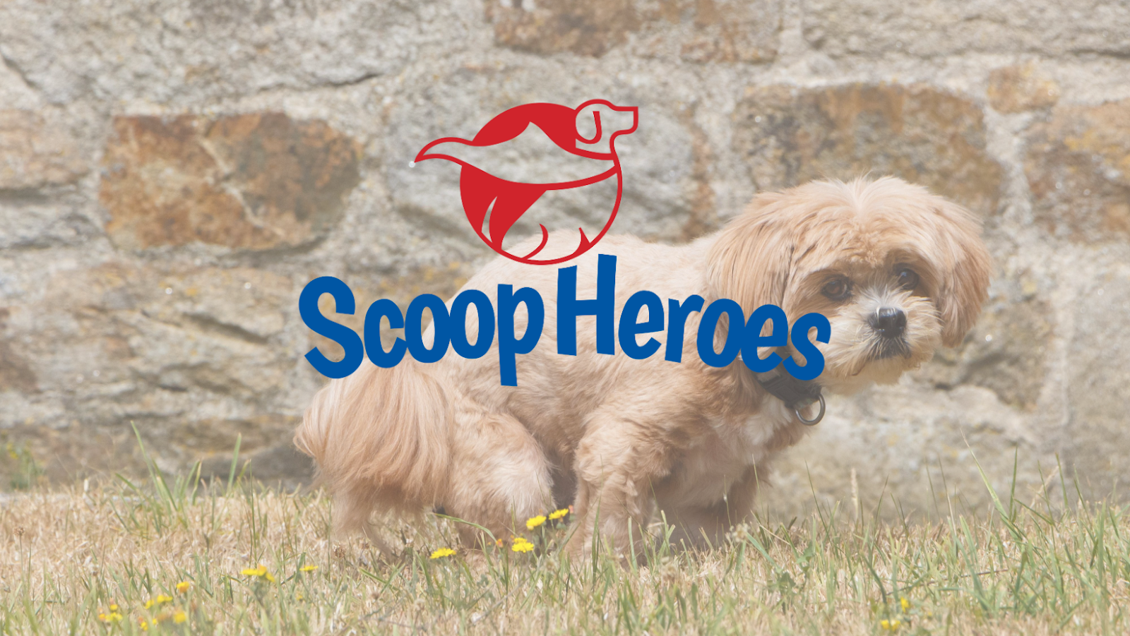 Scoop Heroes