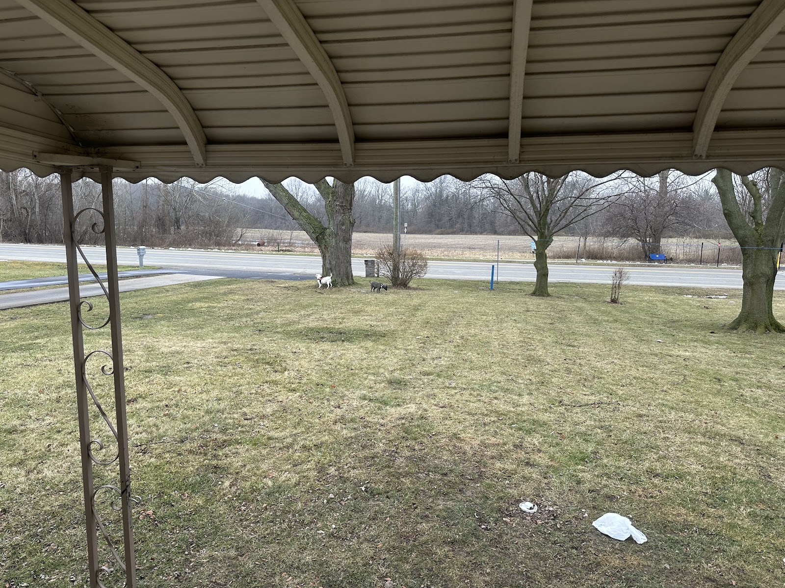 Poopy Poochy - Pet Waste Removal - Photo 3