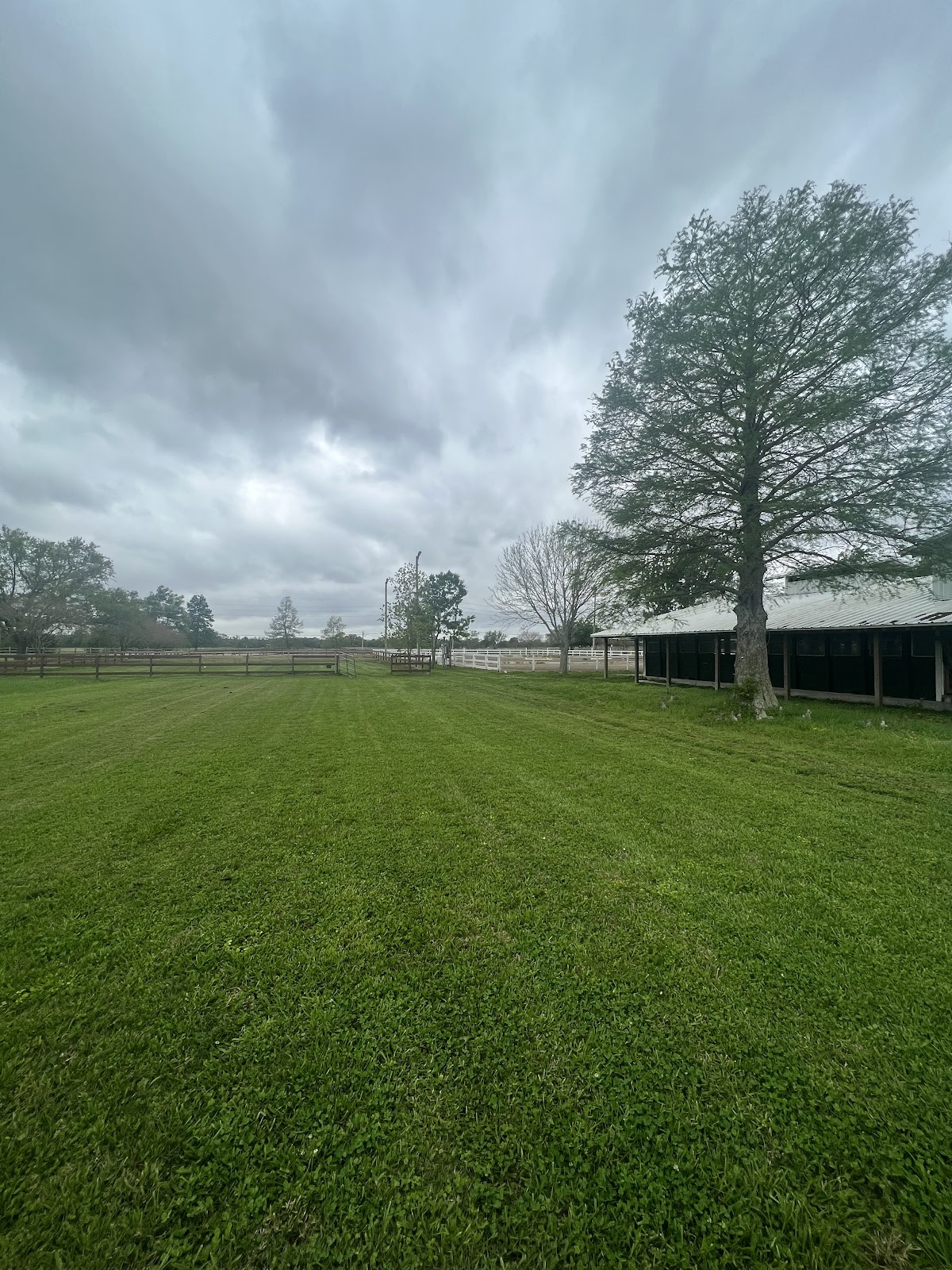 Woof n' Waste Pooper Scooper - Photo 2