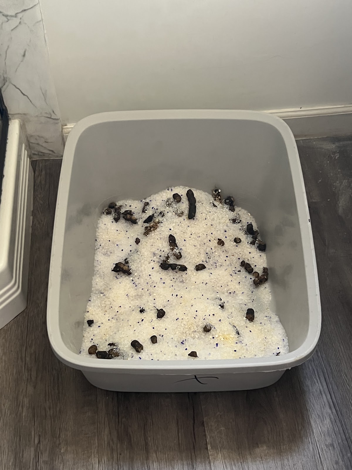 The Poo-lympic Scooper - Photo 2