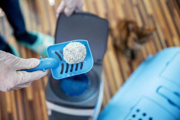 The Poo-lympic Scooper - Photo 3